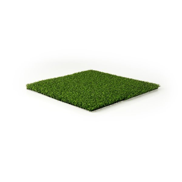 Green as Grass Putting Green Fescue Artificial Grass, 10-ft x 7.5-ft