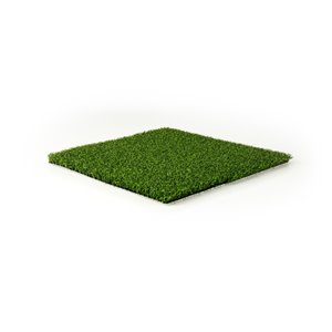 Green as Grass Putting Green Fescue Artificial Grass, 10-ft x 7.5-ft