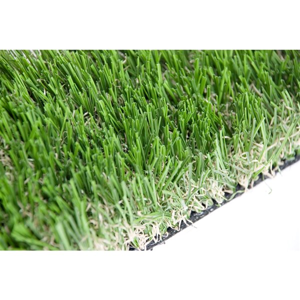 Échantillon de gazon synthétique de fétuque Pet de Green as Grass, 1 pi x 1 pi