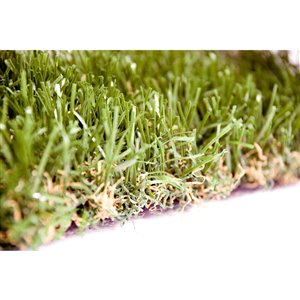 Gazon synthétique Fescue Premium de Green as Grass, 25 pi x 7,5 pi