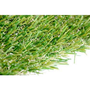 Gazon synthétique de fétuque Spring Pro de Green as Grass, 8 pi x 3 pi