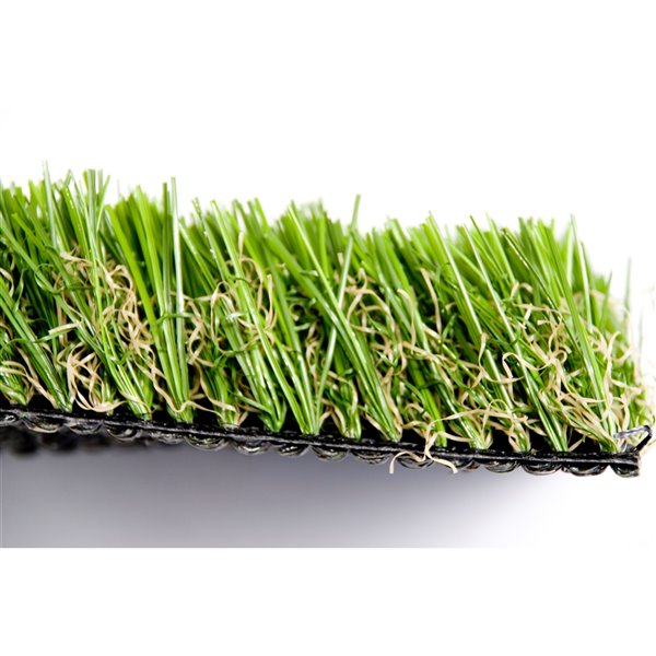 Green as Grass Pet Fescue Artificial Grass, 25ft x 7.5ft 42914 RONA