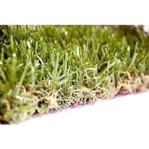 Green as Grass Premium Fescue Artificial Grass Sample, 1-ft x 1-ft
