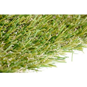 Green as Grass Pro Fescue Artificial Grass, 10-ft x 7.5-ft