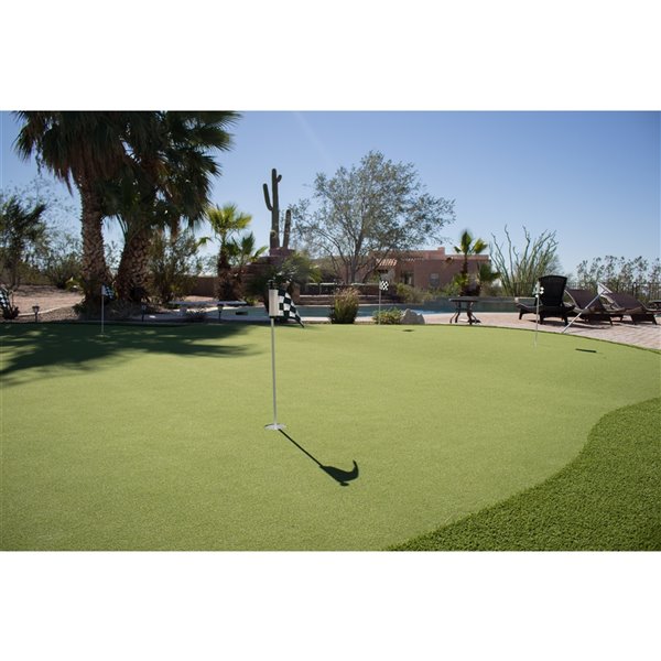 Green as Grass Putting Green Fescue Artificial Grass, 15-ft x 2-ft