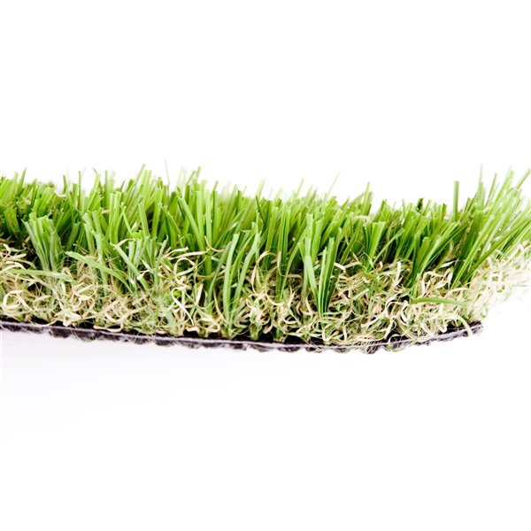 Gazon synthétique Fescue Pro de Green as Grass, 8 pi x 3 pi