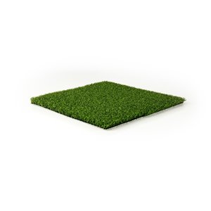 Green as Grass Putting Green Fescue Artificial Grass, 15-ft x 5-ft
