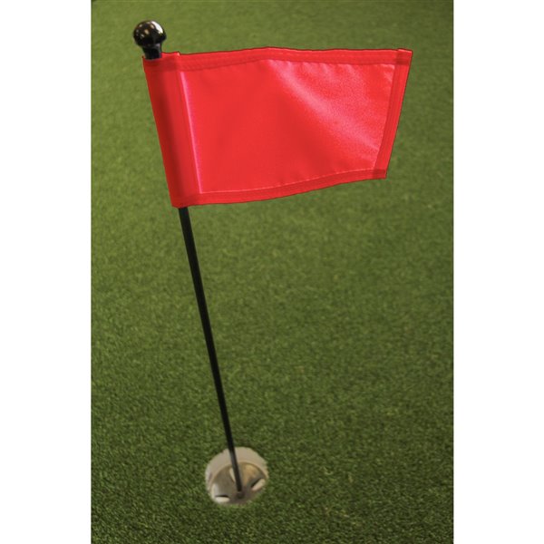 Ensemble pour vert de pratique de golf de Par Aide, drapeau rouge