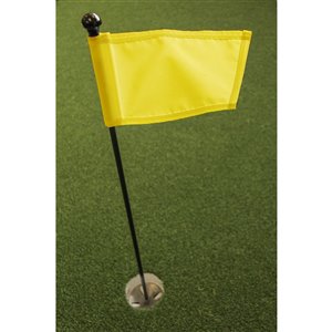 Ensemble pour vert de pratique de golf de Par Aide, drapeau jaune