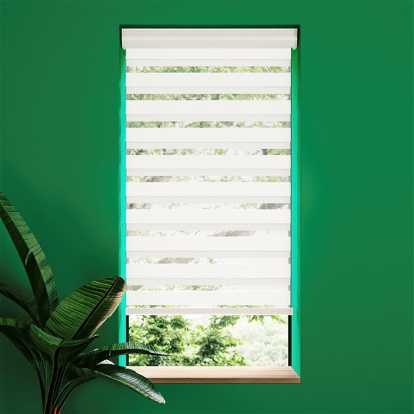 Avanat White Cordless 40-in x 72-in Zebra Roller Shade with Cassette Valance