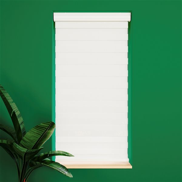 Avanat White Cordless 40-in x 72-in Zebra Roller Shade with Cassette Valance