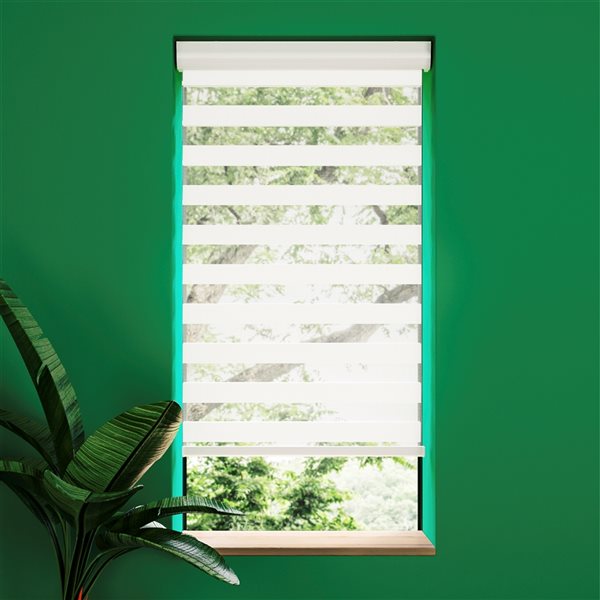 Avanat White Cordless 40-in x 72-in Zebra Roller Shade with Cassette Valance