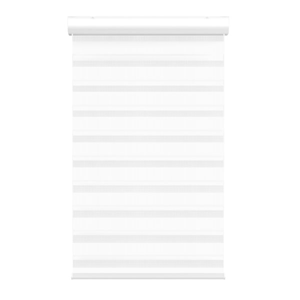 Avanat White Cordless 40-in x 72-in Zebra Roller Shade with Cassette Valance