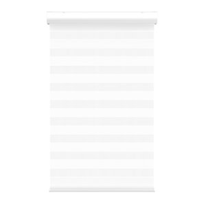 Avanat White Cordless 55-in x 72-in Zebra Roller Shade with Cassette Valance