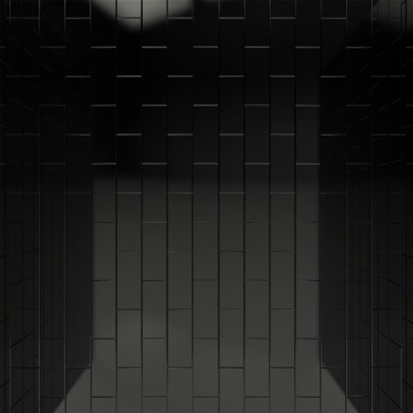 Dreamline QWALL-VS 36-in x 76-in Black Shower Surround Back and Side Wall Panel