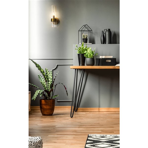 Z-Lite Datus 6.5-in W 1-Light Rubbed Brass Modern/Contemporary Wall Sconce