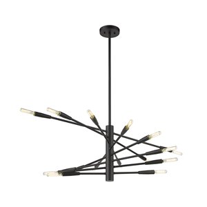 Z-Lite Ascension 16-Light Matte Black Modern/Contemporary Chandelier