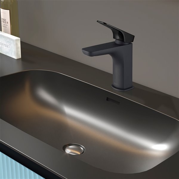 Akdy BF002-8 Matte Black/Brushed Gun Black 1-Handle Single Hole Bathroom Sink Faucet