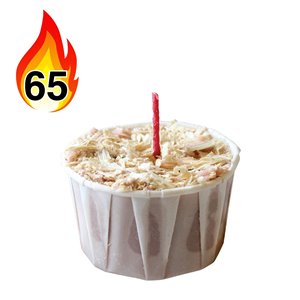 Allume-feu naturel de 0,17 lb par Qwick Wick, paquet de 65