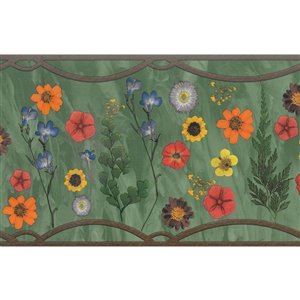 Dundee Deco 7-in Sage Green/Red/Orange/Yellow/Blue Prepasted Wallpaper Border