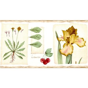 Dundee Deco 6.8-in Brown/Beige/Green/Red Prepasted Wallpaper Border