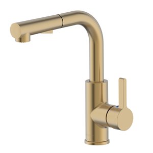 akuaplus® Anna Kitchen Faucet - Champagne Gold