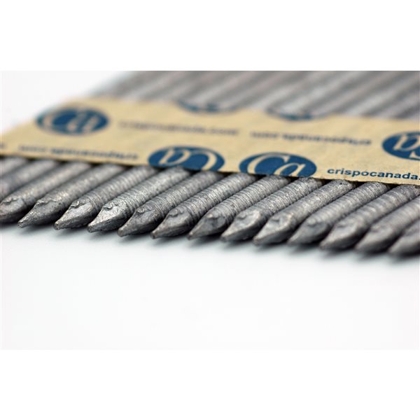 Crisp-Air 2-in and 0.113-Gauge Hot-Dipped Galvanized Steel Collated Framing Nails 1000/pk