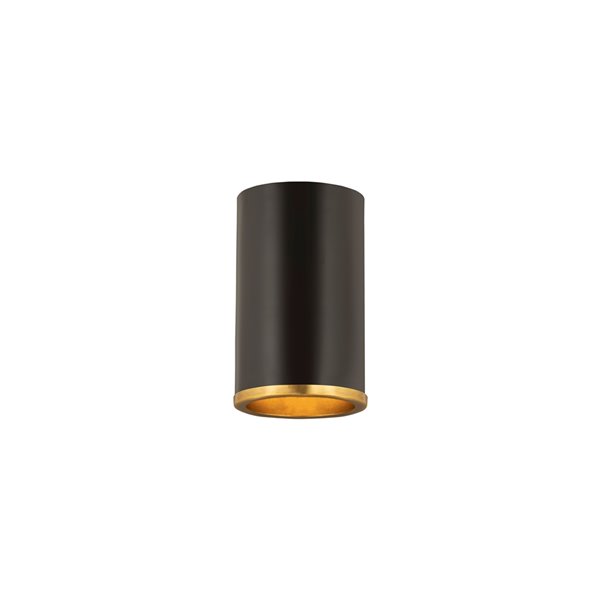 black cylinder flush mount light