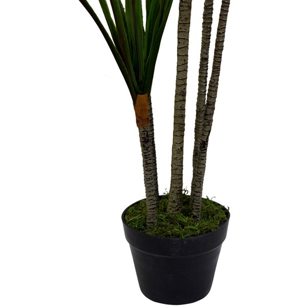 Northlight 67-in Green and Red Artificial Dracaena Marginata Potted Plant