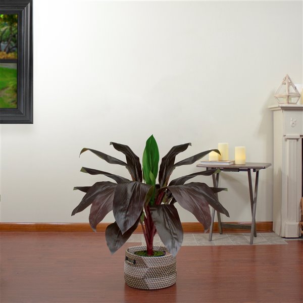 Northlight 23-in Green/Red Artificial Palm Plant
