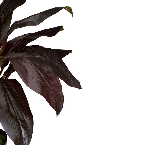 Northlight 23-in Green/Red Artificial Palm Plant