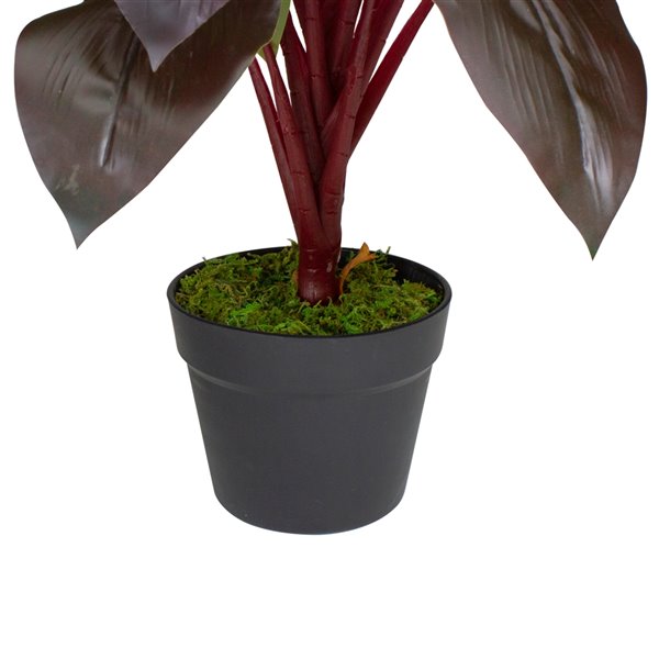 Northlight 23-in Green/Red Artificial Palm Plant