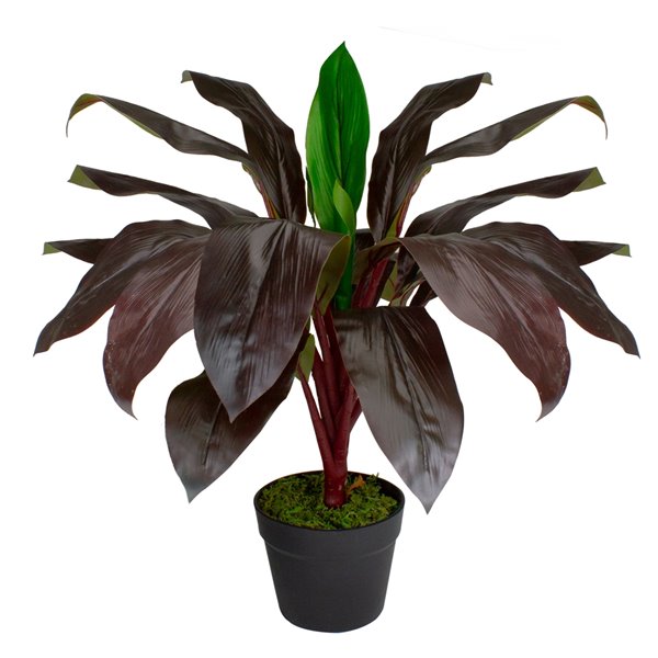 Northlight 23-in Green/Red Artificial Palm Plant