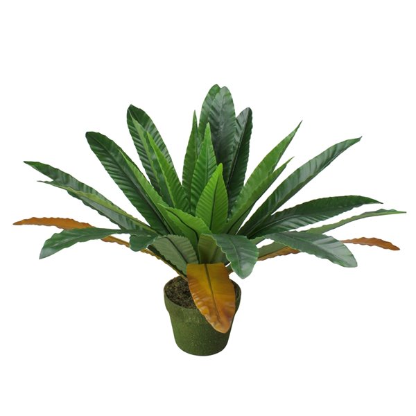 Northlight 25in Green and Brown Artificial Palm Plant 32036238 RONA