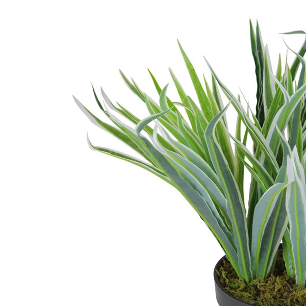 Northlight 13-in Green Artificial Grass Plant