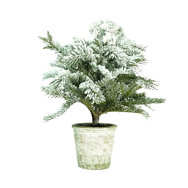 Northlight 20-in Flocked White and Green Artificial Pine Tree 32283914 ...