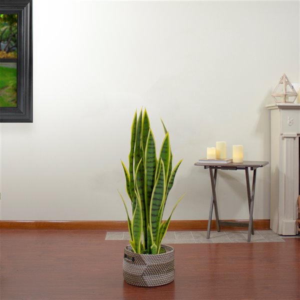 Northlight 29-in Green Artificial Striped Leaf Dracaena Snake Plant