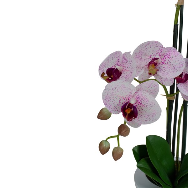 Northlight 21-in Pink Artificial Orchid Plant 34219754 | RONA