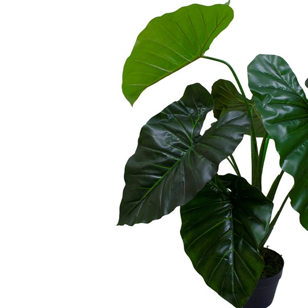 Northlight 40-in Green Artificial Taro Plant