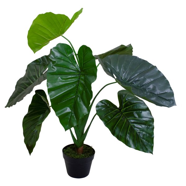 Northlight 40-in Green Artificial Taro Plant