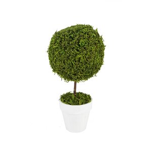 Northlight 15-in Green Reindeer Moss Ball Artificial Plant