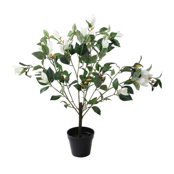 Northlight  White and Black Potted Artificial Lily Magnolia  Flowering Tree 32606798 | RONA