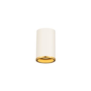 Z-Lite Arlo Flush Mount Light  - Matte White/Rubbed Bronze