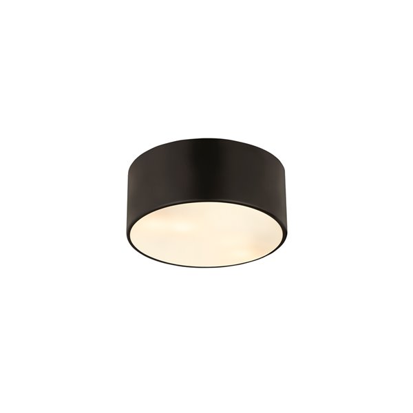 Z-Lite Harley 2-Light Flush Mount Light - Matte Black