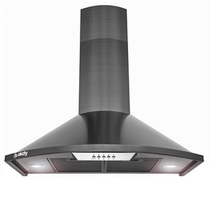 AKDY 30-in Black Convertible Stainless Steel Wall-Mounted Range Hood