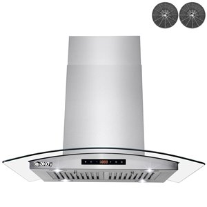 AKDY 30-in Convertible Stainless Steel Island Range Hood - Charcoal Filter Included