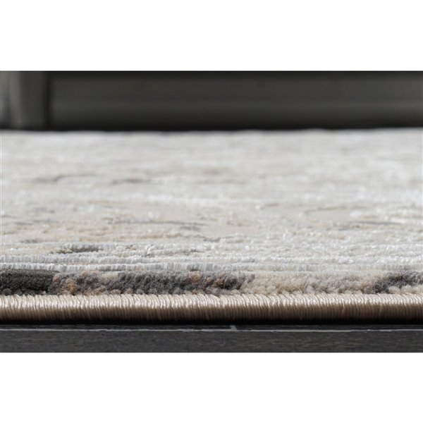 Tapis persan moderne rustique de La Dole, 4 pi x 5 pi, brun/ivoire