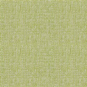 Tissu mural non tissé et non encollé Classic Iconic de Be Shine, motif uni vert pâle, 100 pi²