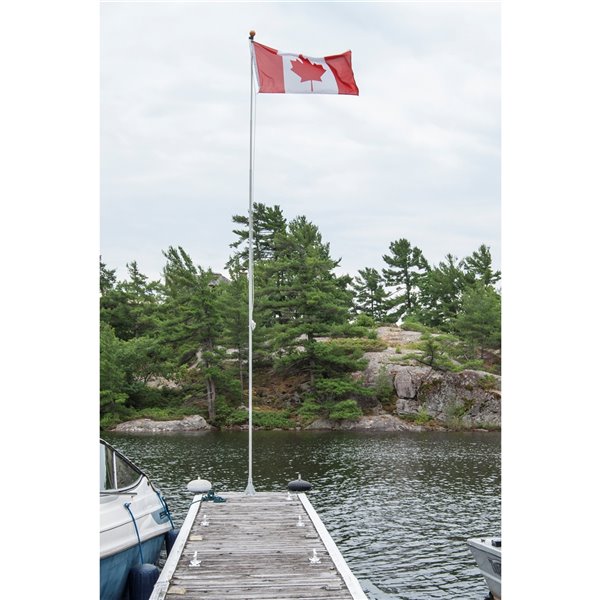 Dock Edge 21-ft Gray Flag Pole With Flag
