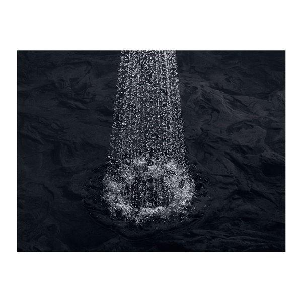 KOHLER Memoirs Polished Chrome 1Spray 2.5 GPM (9.5 LPM) Handheld